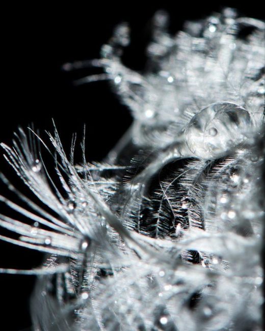 코오롱스포츠, 물에 강한 ‘알파다운’ 출시