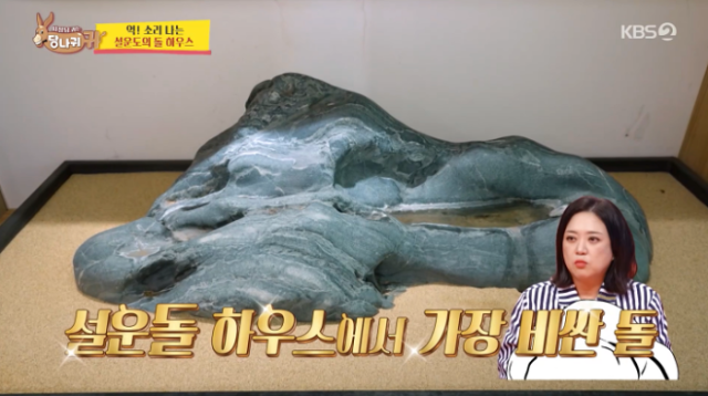 '사장님 귀는 당나귀 귀' 설운도의 보물, 천여 개의 에메랄드와 오팔 공개