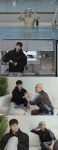 미운 우리 새끼 477회 정건주, 홍석천과 아찔한 만남 임윤서 기자