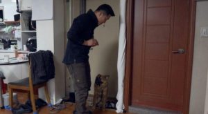 개와 늑대의 시간2 3회 “죽기 5분 전”…브라이언, 입마개 없는 ‘아수라견’ 앞 얼어붙다 뉴스나인