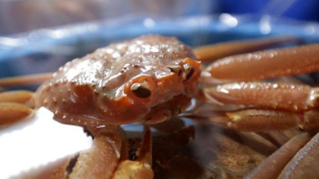한국기행 맵고 짜고 달고 5부 바람이 매울수록 달달하다게