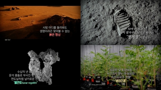'지식채널e' 달에 병아리콩이 피었습니다 · 바닷속 자객, 기뢰 · 모두 쾌적하신가요?
