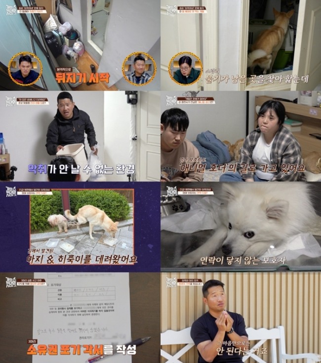 개와 늑대의 시간2 20회 '소유권 포기'로 끝난 송파 히죽이네