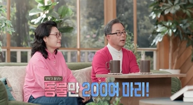 결혼지옥 166회 개·고양이 200마리 보호소, 10억 쓴 아내에 오은영 일침