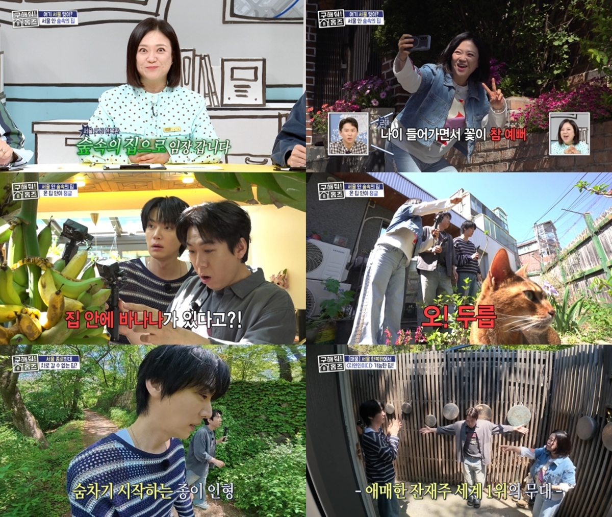 구해줘! 홈즈 354회 강북구 미아동 ‘가드너 건축가의 온실 하우스’ 공개