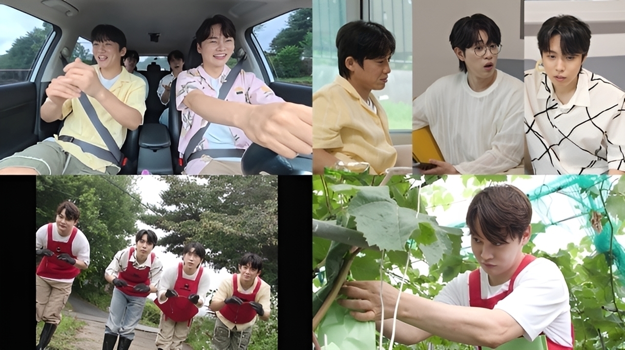 살림남 453회 박서진, 2,000평 포도밭에 ‘트로트 농활단’ 긴급 소집