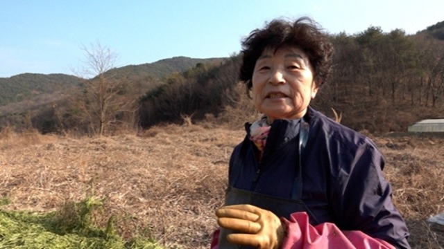 휴먼다큐 사노라면 731회 띠동갑 남매의 미나리 블루스