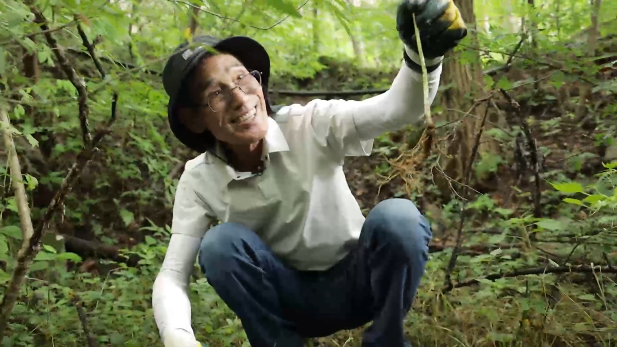 세상에 나쁜 개는 없다 428화 천사 리트리버 노을과 악동 푸들 솔
