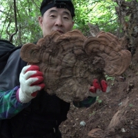 극한직업 923화 산삼 캐기와 포장 이사