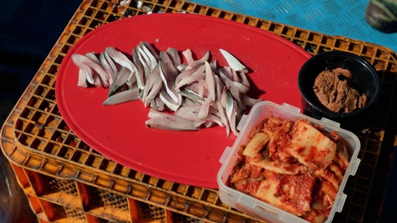 한국인의 삶이 담긴 서해에서 인생을 배우다