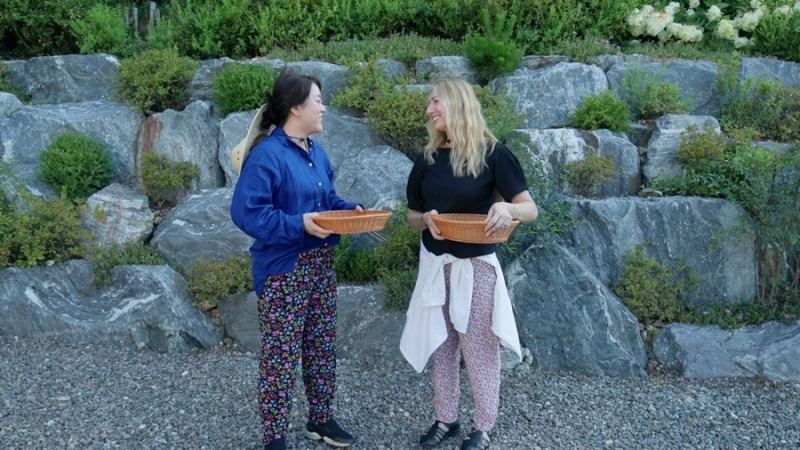 한국인의 손맛을 배우는 시간