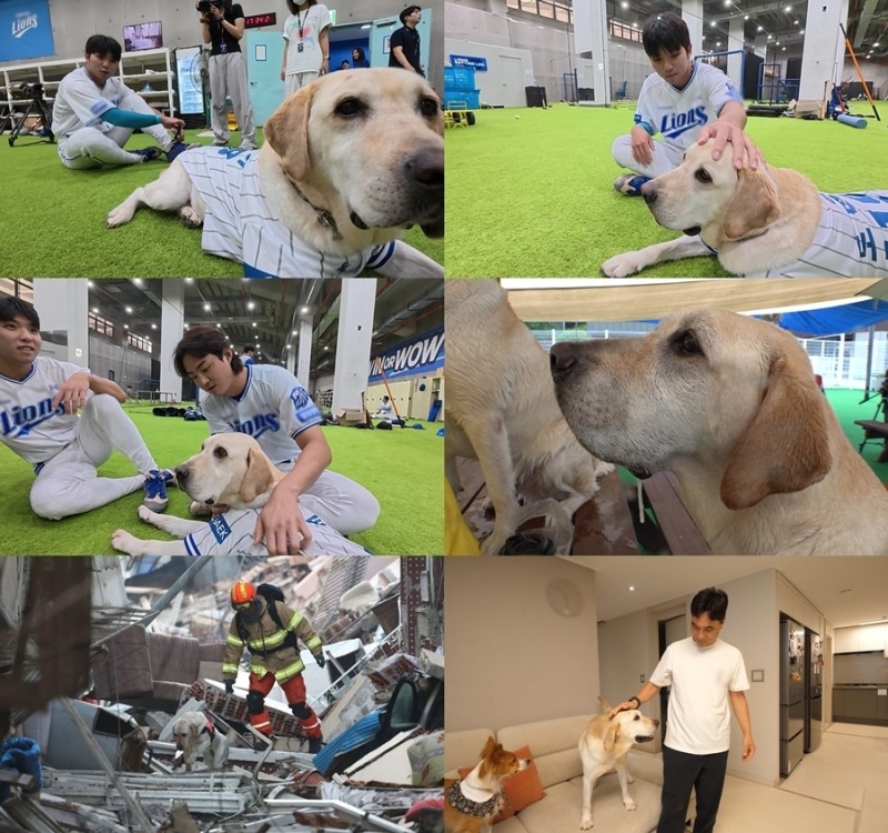 TV 동물농장 1289회 토백이의 슬기로운 은퇴생활