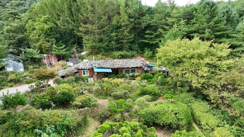 산골에 써 내려간 노부부의 연서, 야생화 정원