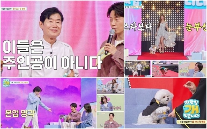‘자랑할 개’ 스타들 대신 레드카펫 주인공 된 반려견